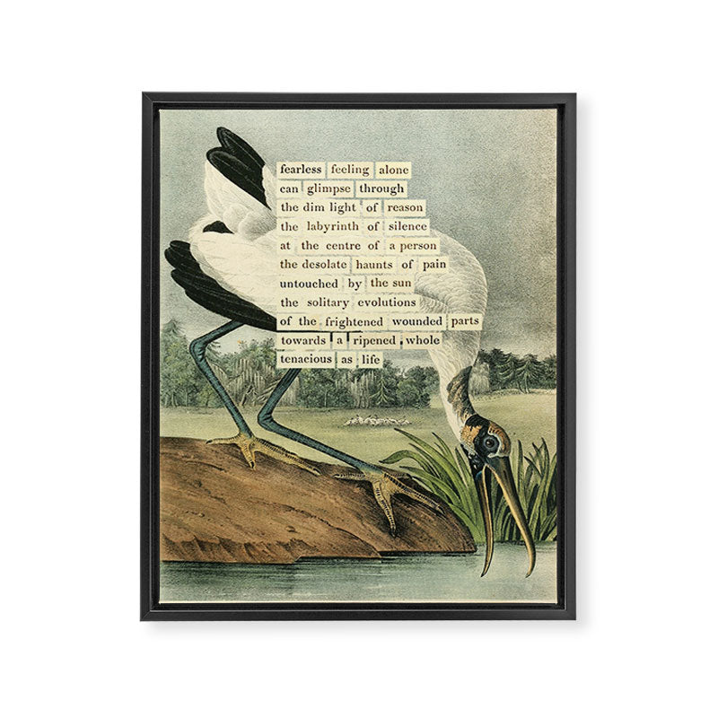 Bird Divinations: Wood Ibis (about: almanacofbirds.org) Framed Canvas Print Gallery Image 6