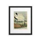 Bird Divinations: Wood Ibis (about: almanacofbirds.org) Framed Art Print Gallery Image 5