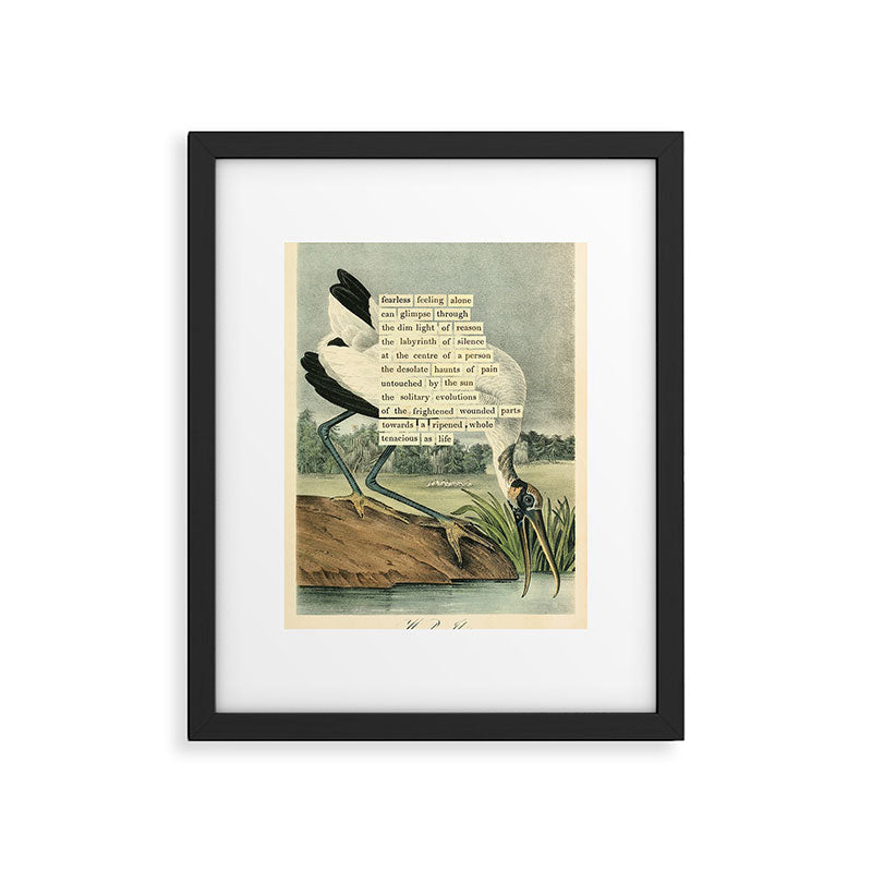 Bird Divinations: Wood Ibis (about: almanacofbirds.org) Framed Art Print Gallery Image 5