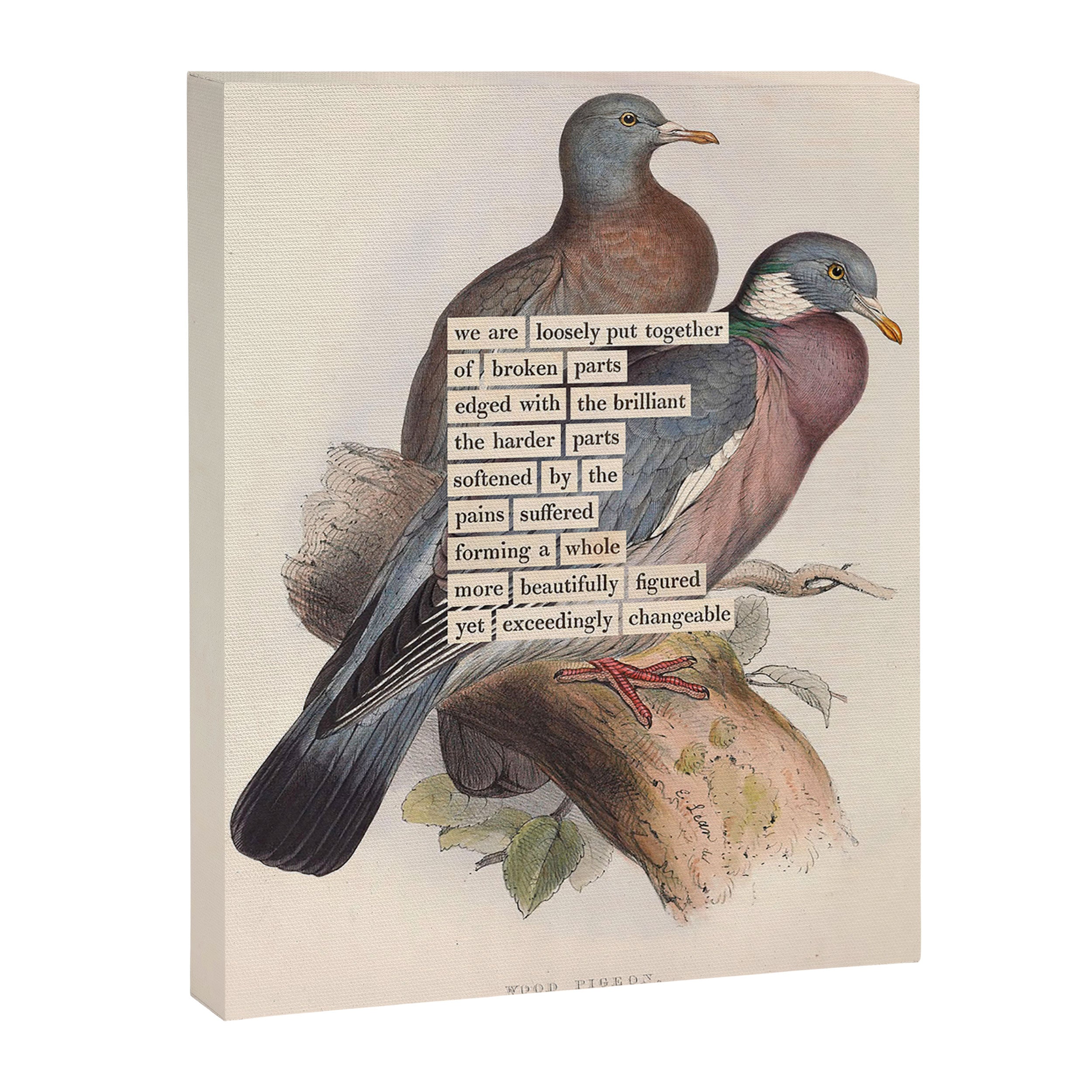 Bird Divinations: Wood Pigeon (about: almanacofbirds.org) Canvas Print Gallery Image 3