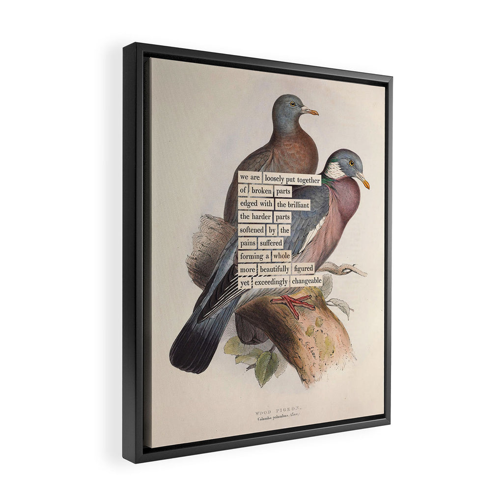 Bird Divinations: Wood Pigeon (about: almanacofbirds.org) Framed Canvas Print Gallery Image 2