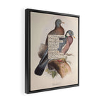 Bird Divinations: Wood Pigeon (about: almanacofbirds.org) Framed Canvas Print Gallery Image 2