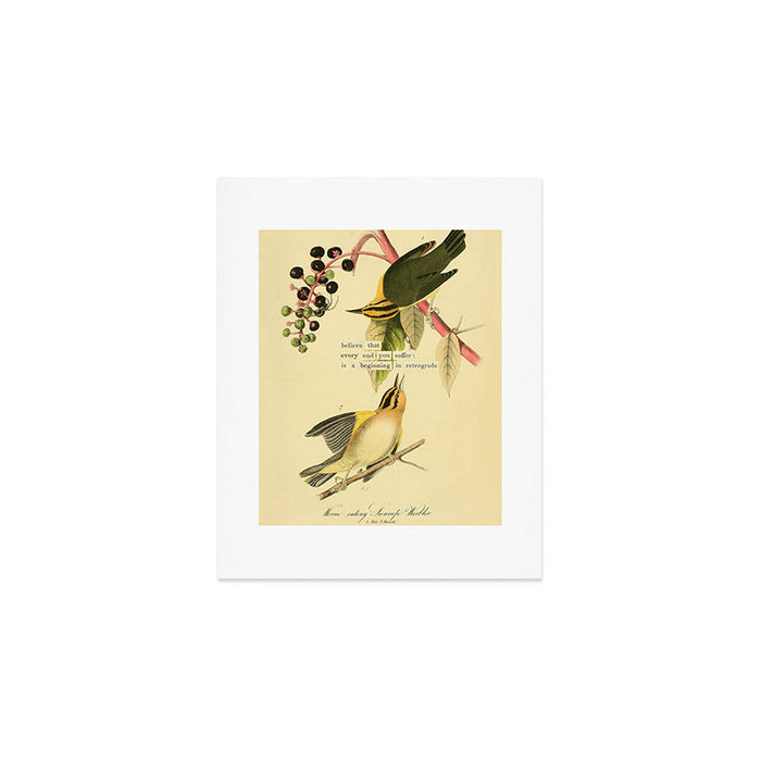 Bird Divinations: Worm-Eating Warbler (about: almanacofbirds.org) Art Print Gallery Image 1