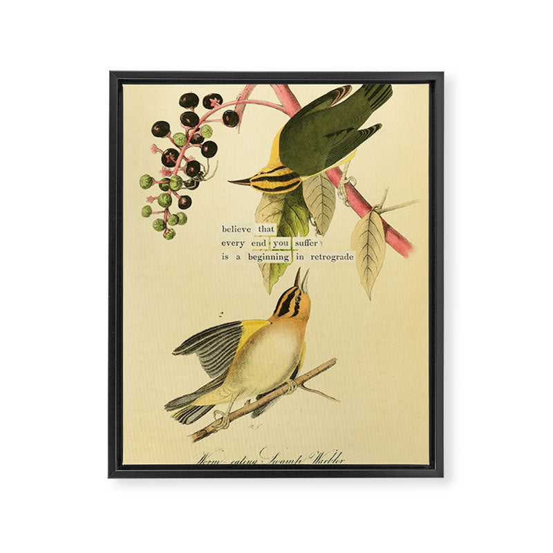 Bird Divinations: Worm-Eating Warbler (about: almanacofbirds.org) Framed Canvas Print Gallery Image 6
