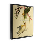 Bird Divinations: Worm-Eating Warbler (about: almanacofbirds.org) Framed Canvas Print Gallery Image 2