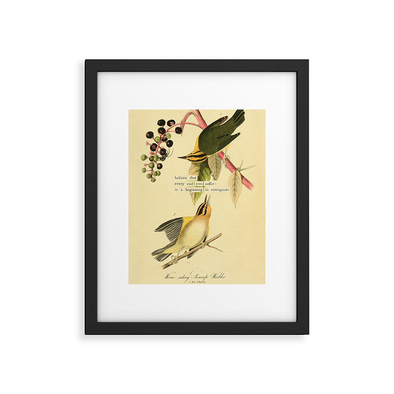 Bird Divinations: Worm-Eating Warbler (about: almanacofbirds.org) Framed Art Print Gallery Image 5