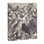 Birds from "Our Feathered Companions" by Thomas Jackson, 1870 (benefitting the Audubon Society) Canvas Print Gallery Image 6