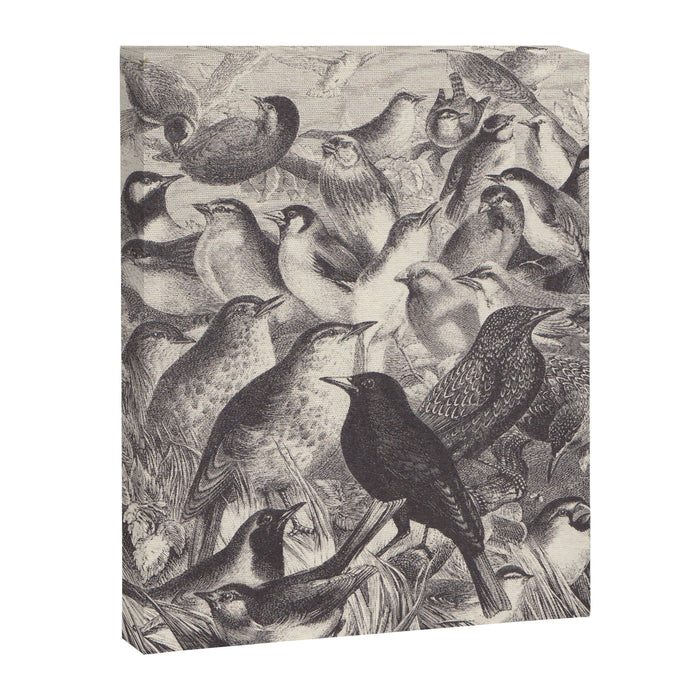 Birds from "Our Feathered Companions" by Thomas Jackson, 1870 (benefitting the Audubon Society) Canvas Print Gallery Image 1