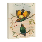 Birds-of-paradise (Dephyllodes Chrysoptera) by John Gould, 1875-1888 (benefitting the Nature Conservancy) Canvas Print Gallery Image 6