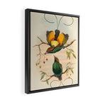 Birds-of-paradise (Dephyllodes Chrysoptera) by John Gould, 1875-1888 (benefitting the Nature Conservancy) Framed Canvas Print Gallery Image 2