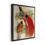 Birds-of-paradise (Paradisea Decora) by John Gould, 1875-1888 (benefitting the Nature Conservancy) Framed Canvas Print Gallery Image 2