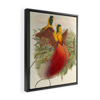 Birds-of-paradise (Paradisea Sanguinea) by John Gould, 1875-1888 (benefitting the Nature Conservancy) Framed Canvas Print Gallery Image 2