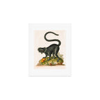 Black lemur by George Edwards, 1758 (benefiting The Nature Conservancy) Art Print Gallery Image 1