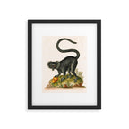 Black lemur by George Edwards, 1758 (benefiting The Nature Conservancy) Framed Art Print Gallery Image 5