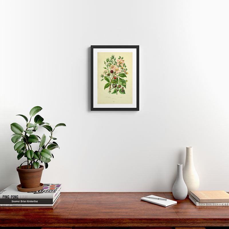 Blackberry and raspberry by Anne Pratt, 1800s (benefitting The Nature Conservancy) Framed Art Print Gallery Image 2