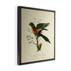 "Blue Bellied Parrot" by Sarah Stone, 1790 Framed Canvas Print Gallery Image 2