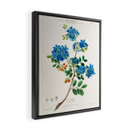 Blue flowering tree from "Flore dâAmÃ©rique" by Ãtienne Denisse, 1840s Framed Canvas Print Gallery Image 2