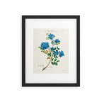 Blue flowering tree from "Flore dâAmÃ©rique" by Ãtienne Denisse, 1840s Framed Art Print Gallery Image 5