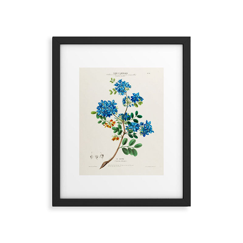 Blue flowering tree from "Flore dâAmÃ©rique" by Ãtienne Denisse, 1840s Framed Art Print Gallery Image 5