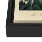 Blue Passionflower from "The Temple of Flora," 1812 (benefitting The Nature Conservancy) Framed Canvas Print Gallery Image 3