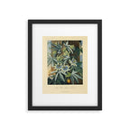 Blue Passionflower from "The Temple of Flora," 1812 (benefitting The Nature Conservancy) Framed Art Print Gallery Image 5