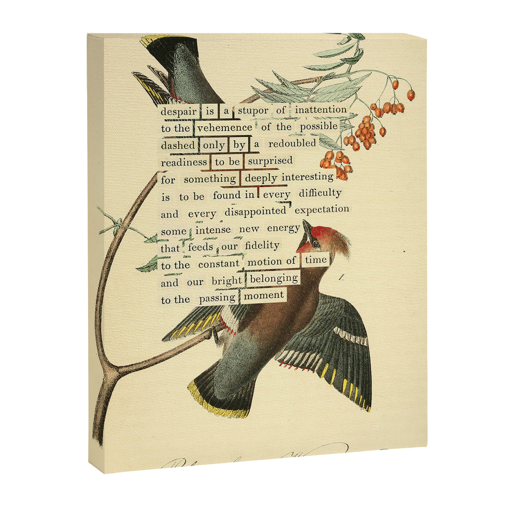 Bohemian Chatterer from 'An Almanac of Birds - Divinations for Uncertain Days' (almanacofbirds.org) Canvas Print Gallery Image 6