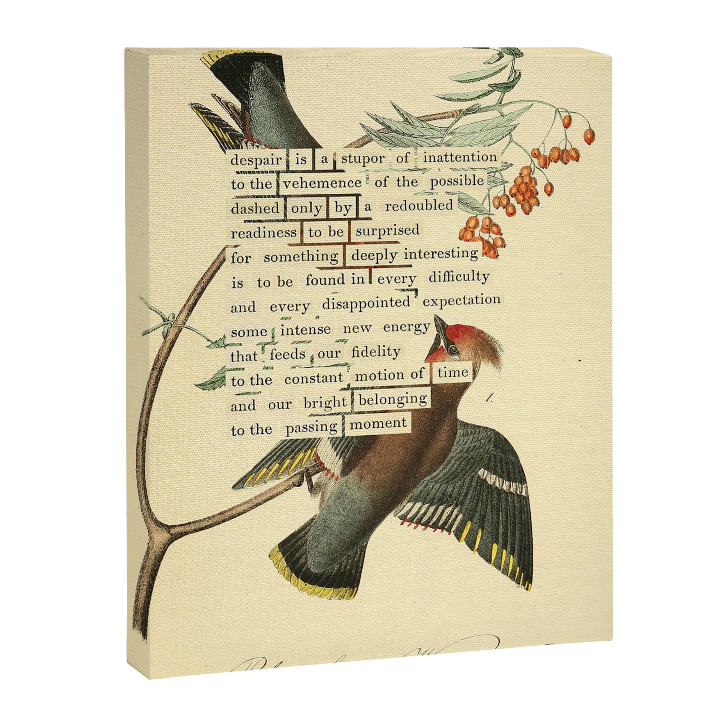 Bohemian Chatterer from 'An Almanac of Birds - Divinations for Uncertain Days' (almanacofbirds.org) Canvas Print Gallery Image 6