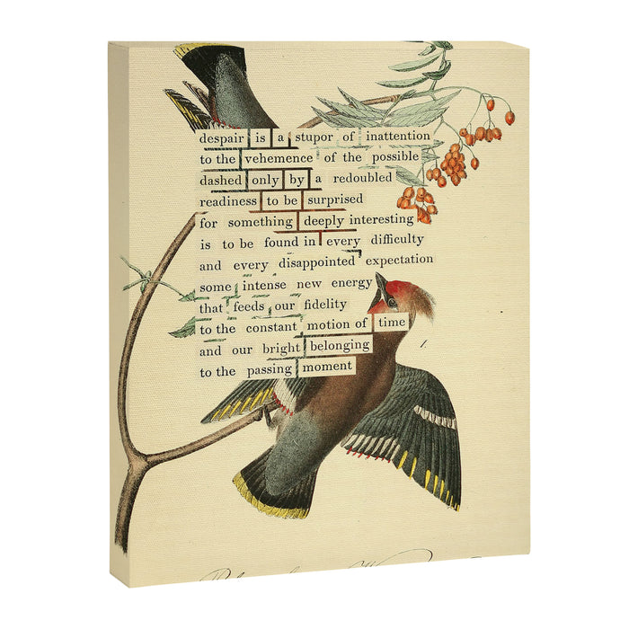 Bohemian Chatterer from 'An Almanac of Birds - Divinations for Uncertain Days' (almanacofbirds.org) Canvas Print Gallery Image 1
