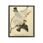 Bohemian Chatterer from 'An Almanac of Birds - Divinations for Uncertain Days' (almanacofbirds.org) Framed Canvas Print Gallery Image 6