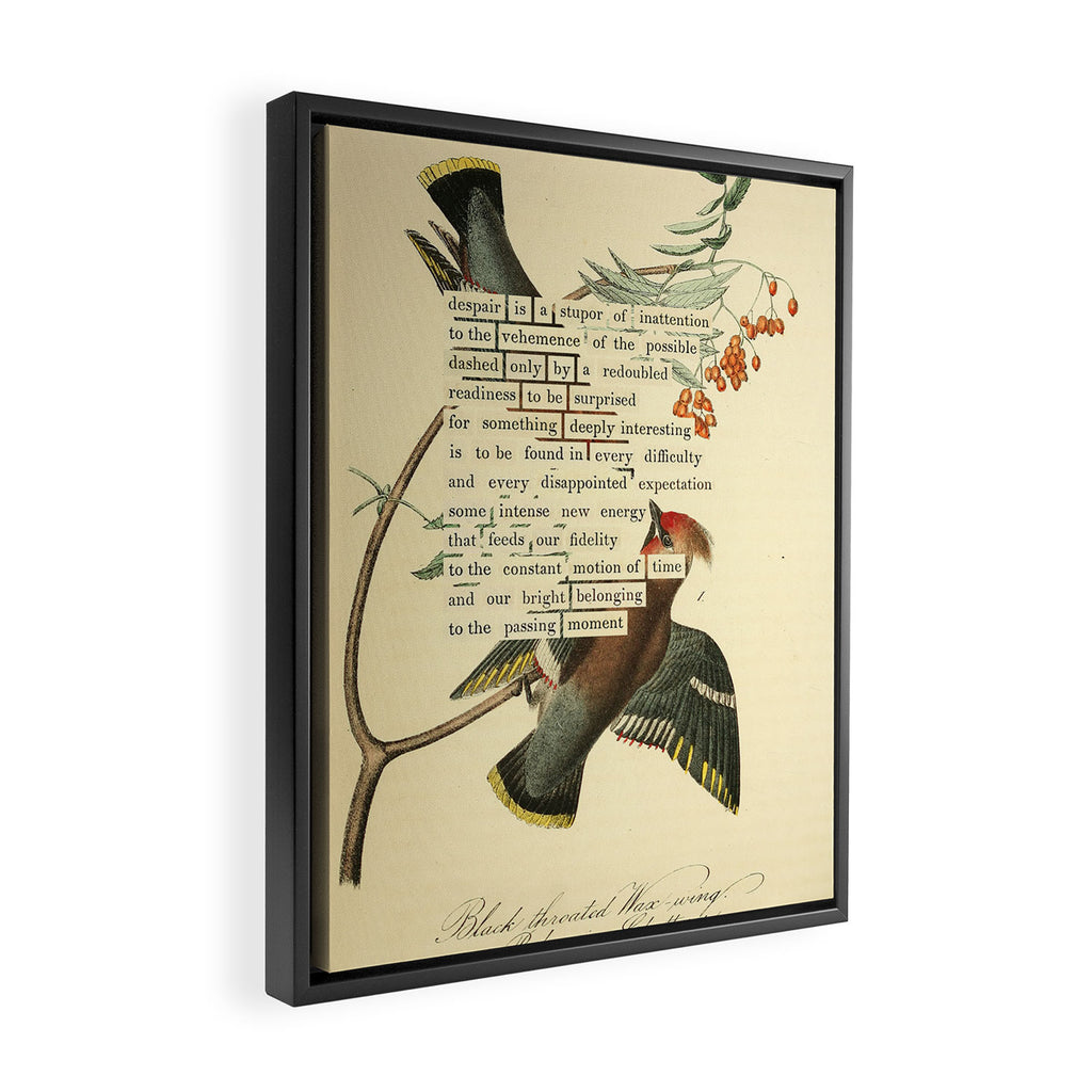 Bohemian Chatterer from 'An Almanac of Birds - Divinations for Uncertain Days' (almanacofbirds.org) Framed Canvas Print Gallery Image 2
