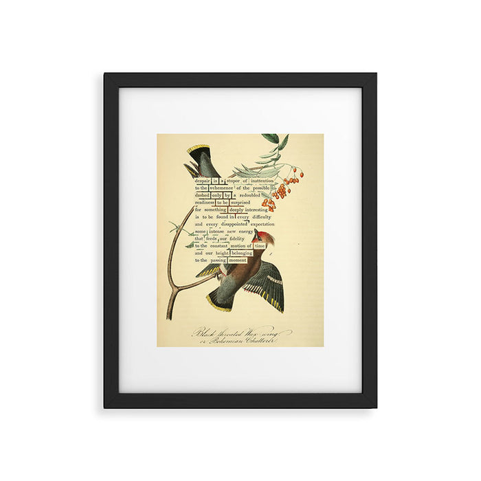Bohemian Chatterer from 'An Almanac of Birds - Divinations for Uncertain Days' (almanacofbirds.org) Framed Art Print Gallery Image 1
