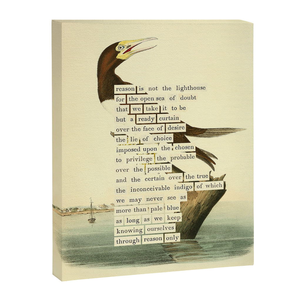 Booby Gannet from 'An Almanac of Birds - Divinations for Uncertain Days' (almanacofbirds.org) Canvas Print Gallery Image 6
