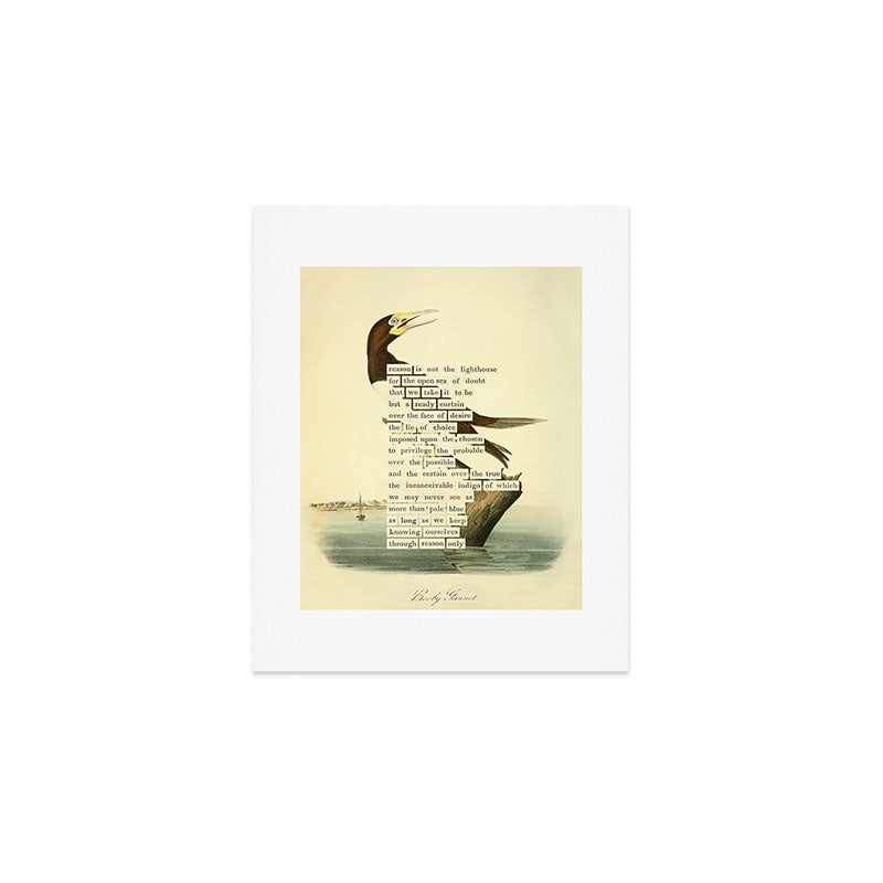 Booby Gannet from 'An Almanac of Birds - Divinations for Uncertain Days' (almanacofbirds.org) Art Print Gallery Image 1