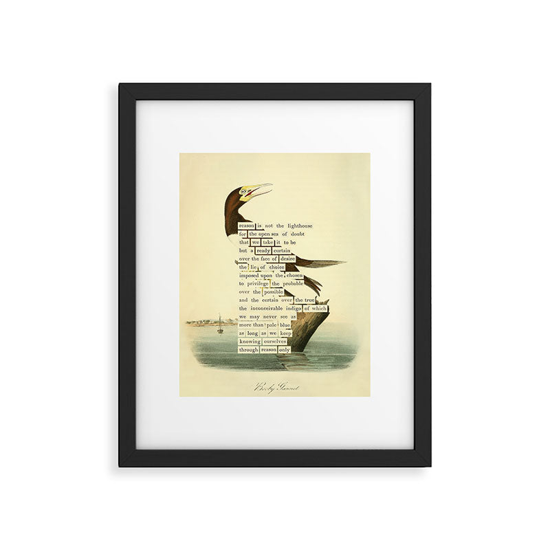 Booby Gannet from 'An Almanac of Birds - Divinations for Uncertain Days' (almanacofbirds.org) Framed Art Print Gallery Image 5