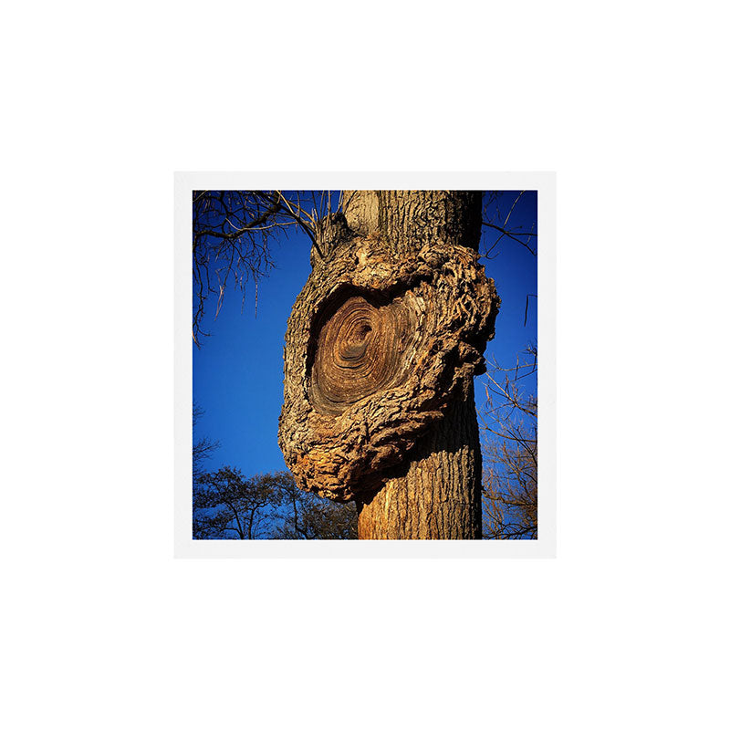 "Broken/hearted" by Maria Popova Art Print Gallery Image 1