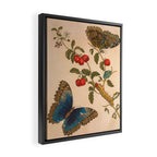 Butterfly metamorphosis by Maria Sibylla Merian, 1705 Framed Canvas Print Gallery Image 2