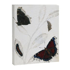 Butterfly metamorphosis by Philip Henry Gosse, 1833  Canvas Print Gallery Image 6