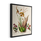 Butterfly orchid from "Flore dâAmÃ©rique" by Ãtienne Denisse, 1840s Framed Canvas Print Gallery Image 2
