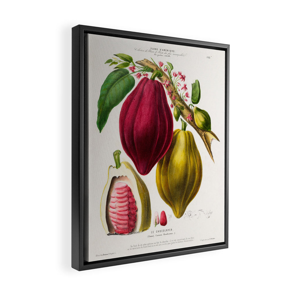 Cacao from "Flore dâAmÃ©rique" by Ãtienne Denisse, 1840s Framed Canvas Print Gallery Image 2