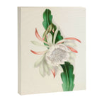  Cactus by Clarissa Munger Badger, 1866 (benefitting The Nature Conservancy) Canvas Print Gallery Image 6