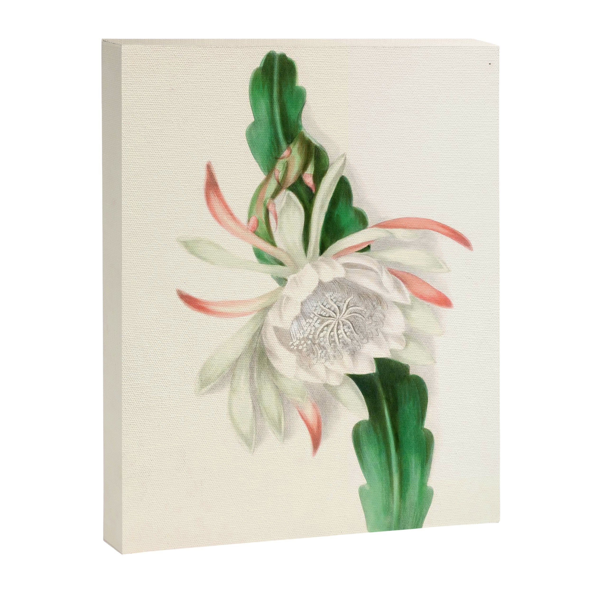  Cactus by Clarissa Munger Badger, 1866 (benefitting The Nature Conservancy) Canvas Print Gallery Image 6