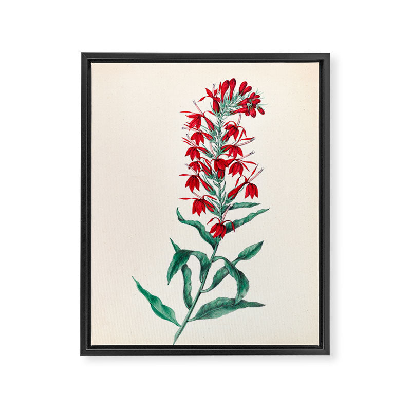  Cardinal flower by Clarissa Munger Badger, 1859 (benefitting The Nature Conservancy) Framed Canvas Print Gallery Image 6