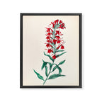  Cardinal flower by Clarissa Munger Badger, 1859 (benefitting The Nature Conservancy) Framed Canvas Print Gallery Image 6