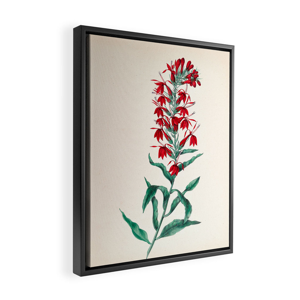  Cardinal flower by Clarissa Munger Badger, 1859 (benefitting The Nature Conservancy) Framed Canvas Print Gallery Image 2