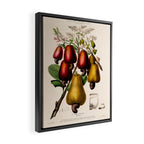 Cashew from "Flore dâAmÃ©rique" by Ãtienne Denisse, 1840s Framed Canvas Print Gallery Image 2