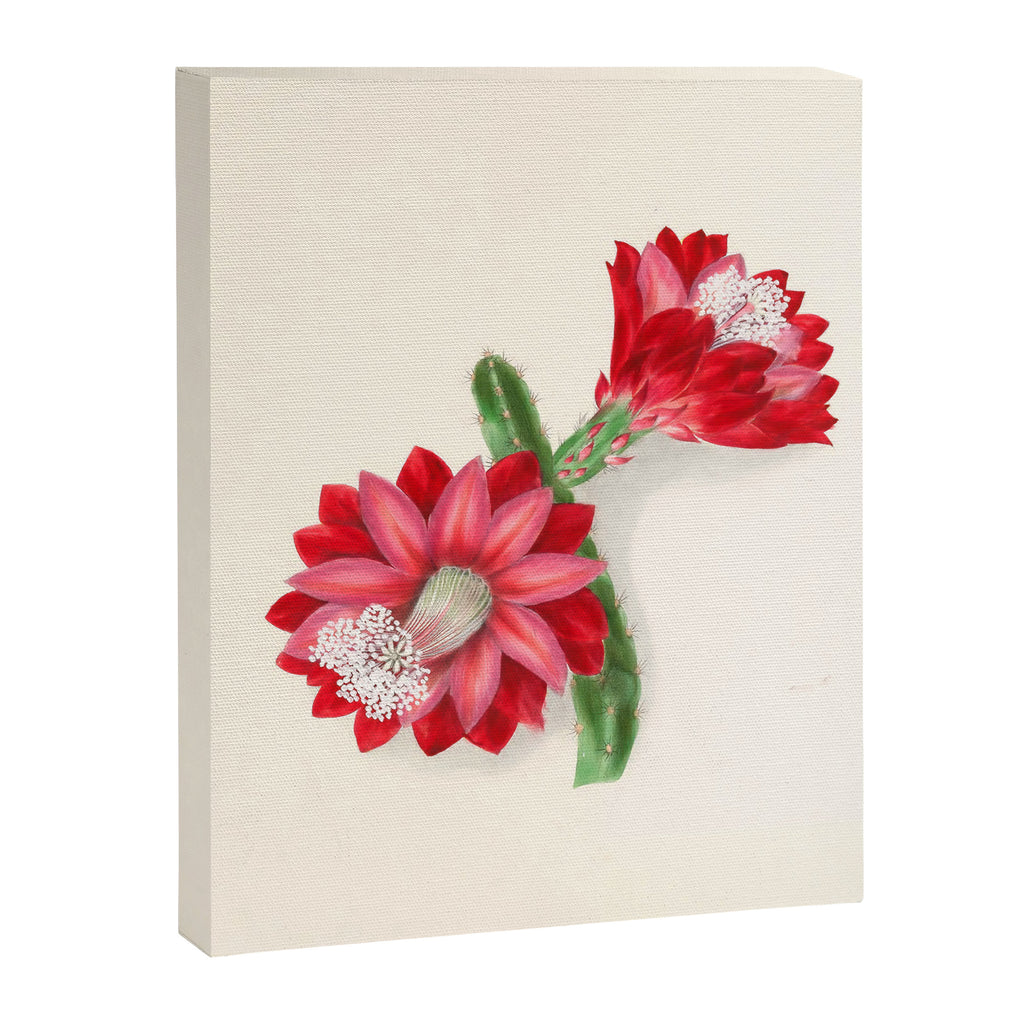 Cereus cactus by Clarissa Munger Badger, "Floral Belles," 1866 (benefitting The Nature Conservancy) Canvas Print Gallery Image 6