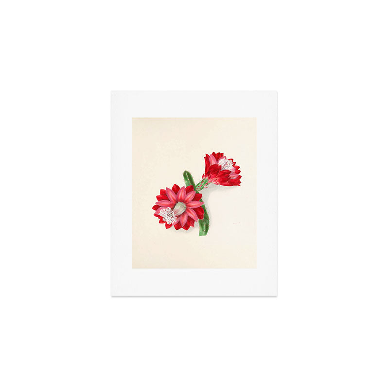 Cereus cactus by Clarissa Munger Badger, "Floral Belles," 1866 (benefitting The Nature Conservancy) Art Print Gallery Image 1