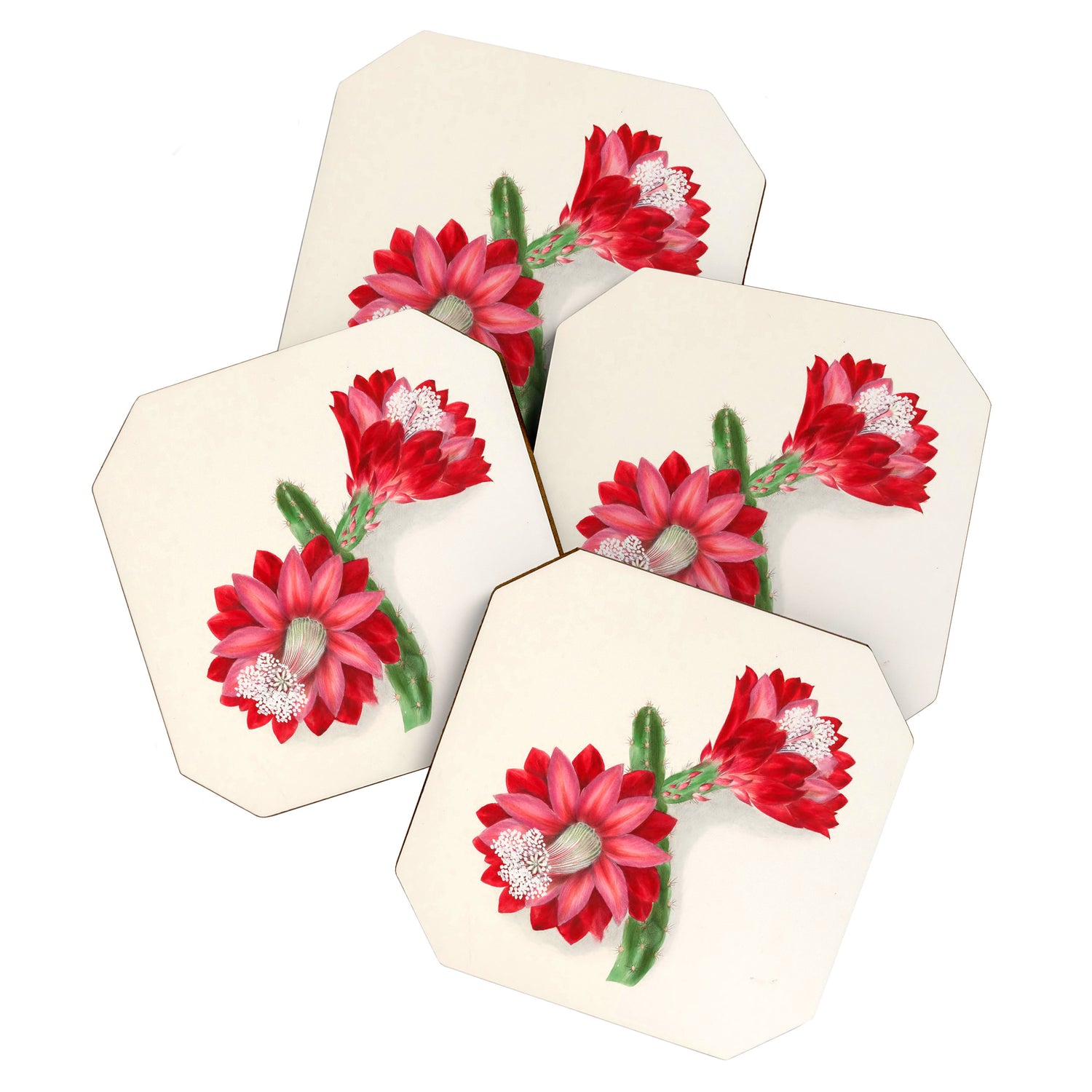 Cereus cactus by Clarissa Munger Badger, "Floral Belles," 1866 (benefitting The Nature Conservancy) Coaster Gallery Image 1