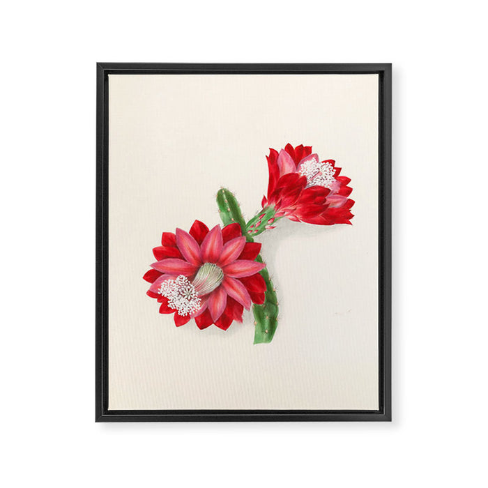 Cereus cactus by Clarissa Munger Badger, "Floral Belles," 1866 (benefitting The Nature Conservancy) Framed Canvas Print Gallery Image 1