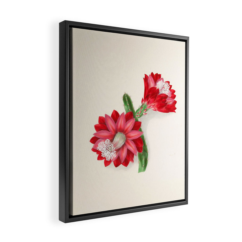 Cereus cactus by Clarissa Munger Badger, "Floral Belles," 1866 (benefitting The Nature Conservancy) Framed Canvas Print Gallery Image 2
